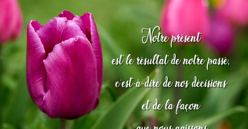 Aperçu de la carte : « Notre présent est le résultat de notre passé, de nos décisions et de nos actions... »