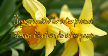 Aperçu de la carte : « Soyez maître de votre présent et non l'esclave de votre passé... »