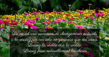Aperçu de la carte : « La vie est une succession de changements naturels. Ne résistez pas... »