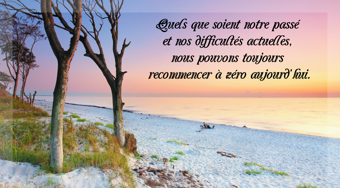 Paysage d'une plage de sable blanc au crépuscule, avec une mer calme et des arbres aux troncs nus sur une dune.