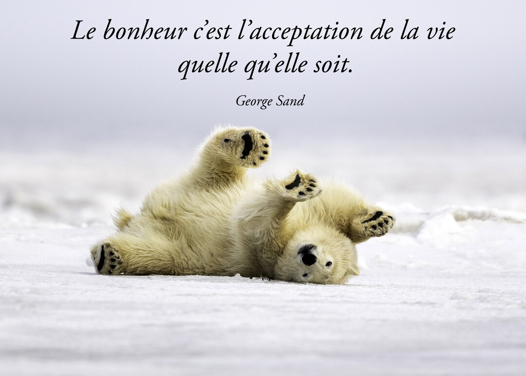 Un jeune ours polaire blanc est allongé sur le dos dans la neige, les pattes en l'air, sous une citation de George Sand.