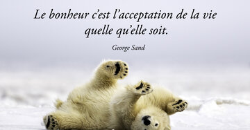 Aperçu de la carte : Le bonheur c'est l'acceptation de la vie 
quelle qu'elle soit.