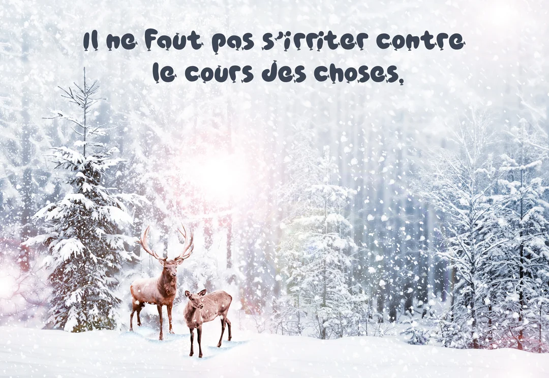 Un cerf et une biche se tiennent dans une forêt d'hiver sous une forte chute de neige, avec une citation philosophique superposée.
