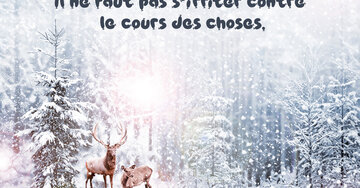 Aperçu de la carte : Il ne faut pas s'irriter contre 
le cours des choses.