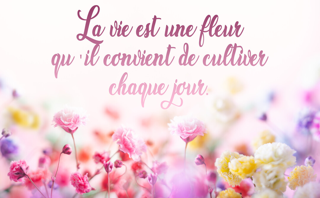 Une citation philosophique est calligraphiée en rose au-dessus d'un champ de petites fleurs multicolores sur un fond clair et lumineux.