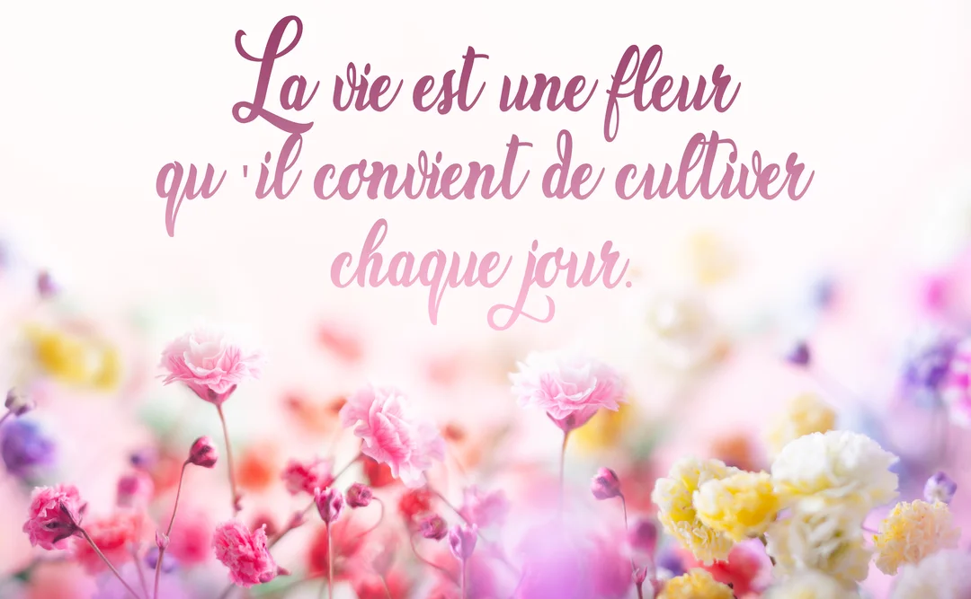 Une citation philosophique est calligraphiée en rose au-dessus d'un champ de petites fleurs multicolores sur un fond clair et lumineux.