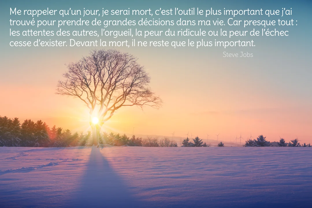 Un arbre dénudé se dresse dans un champ de neige, sa silhouette se découpant sur un soleil éclatant à l'horizon hivernal.