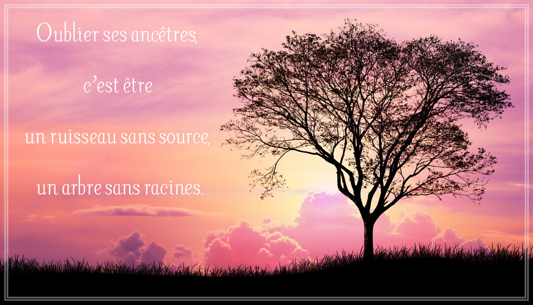 Un paysage au crépuscule avec la silhouette noire d'un arbre solitaire et de l'herbe sur un fond de ciel aux teintes roses et violettes.