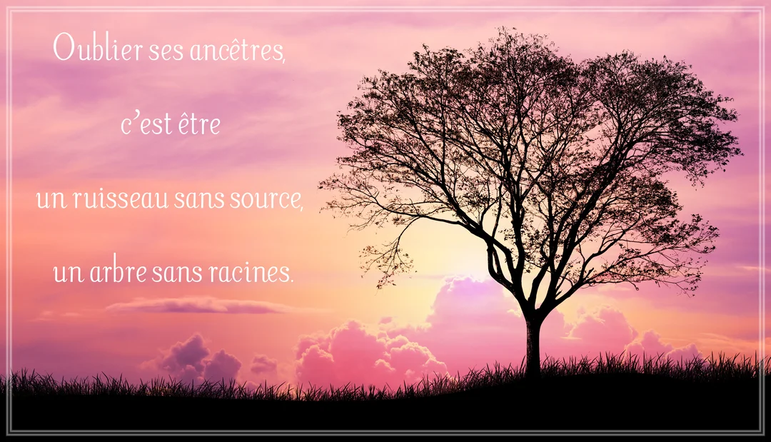 Un paysage au crépuscule avec la silhouette noire d'un arbre solitaire et de l'herbe sur un fond de ciel aux teintes roses et violettes.