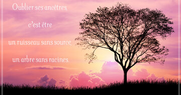 Aperçu de la carte : « Oublier ses ancêtres, c'est être un arbre sans racines... »