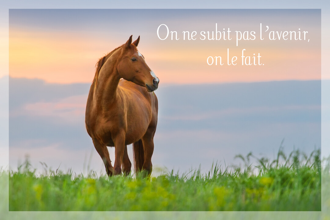 Un cheval alezan se tenant fièrement dans un champ d'herbe verte, sous un ciel de crépuscule aux teintes orangées et bleues.