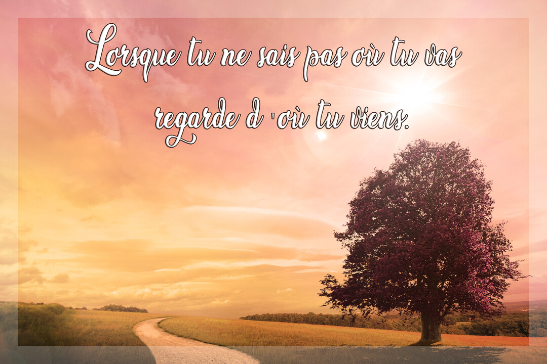Un paysage rural avec un chemin sinueux et un arbre solitaire sous un ciel orangé, accompagné d'une citation sur l'importance des origines.