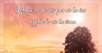 Aperçu de la carte : Lorsque tu ne sais pas où tu vas, regarde d' où tu viens.