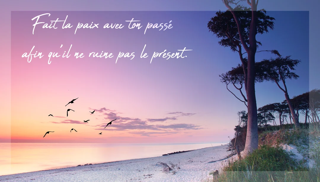 Paysage de bord de mer au crépuscule avec des arbres sur une dune et des oiseaux volant au-dessus de l'eau calme.