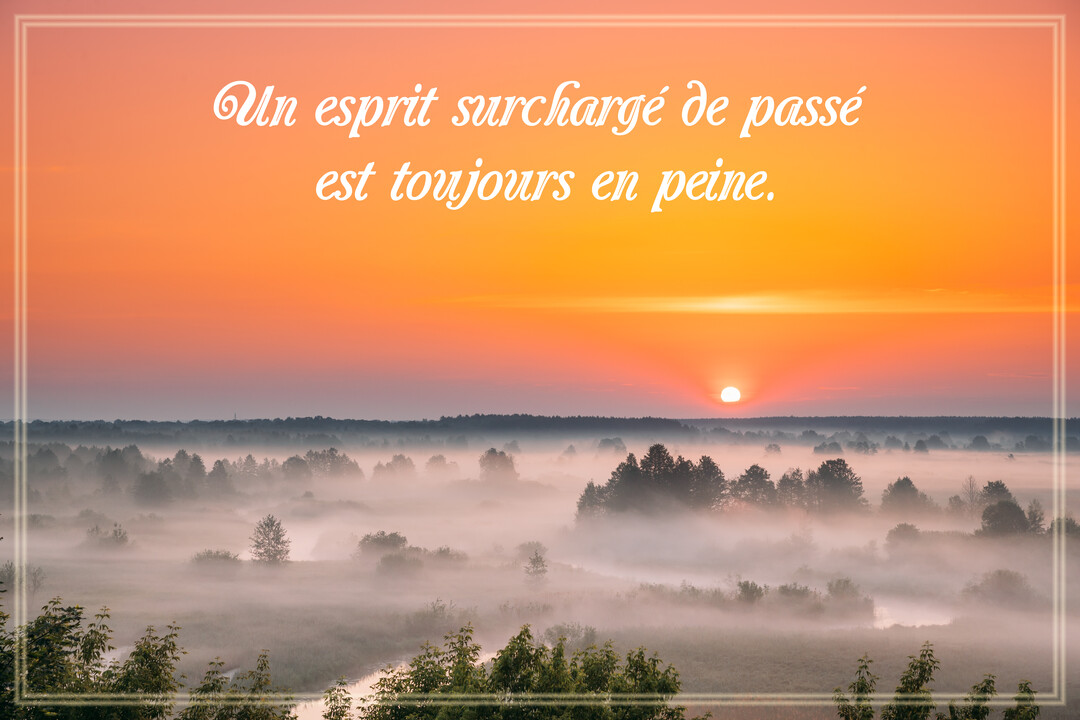 Paysage matinal d'une vallée remplie de brume d'où émergent des arbres, sous un ciel orangé avec un soleil bas à l'horizon.