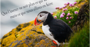 Aperçu de la carte : « Que l'avenir soit ce que nous allons en faire... »