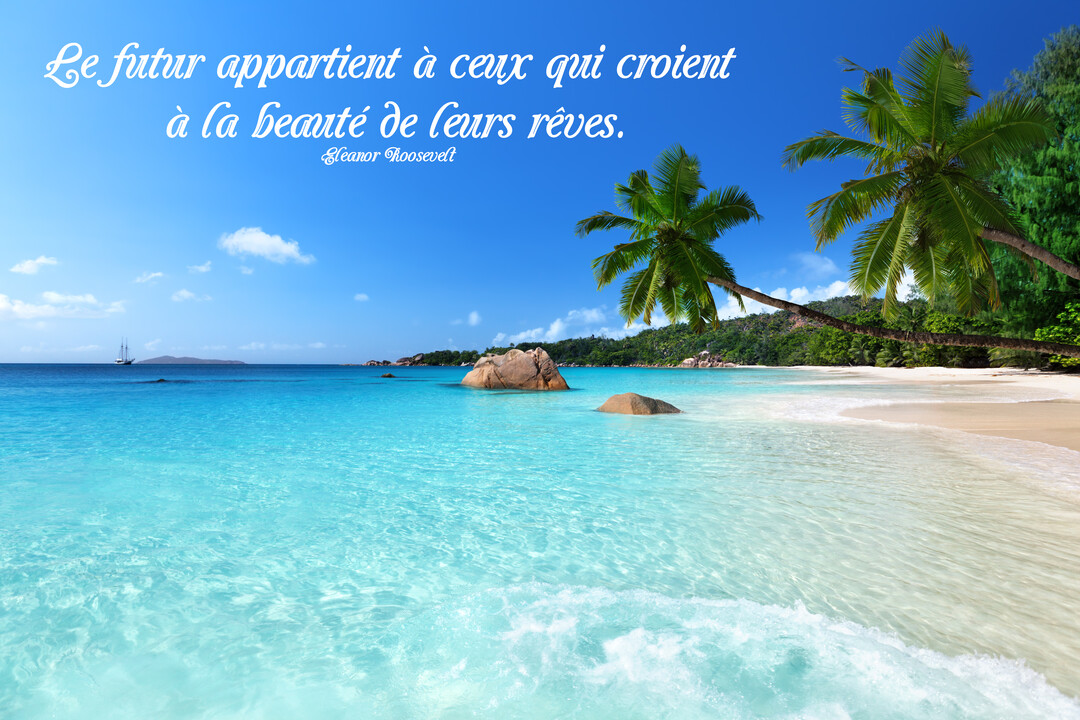Une plage tropicale idyllique avec une mer turquoise et des palmiers, sur laquelle est inscrite une citation sur fond de ciel bleu.