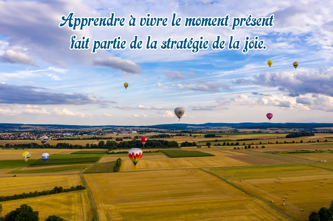 Vue aérienne d'un paysage rural parsemé de champs dorés et verts, avec plusieurs montgolfières flottant sous un ciel bleu nuageux.