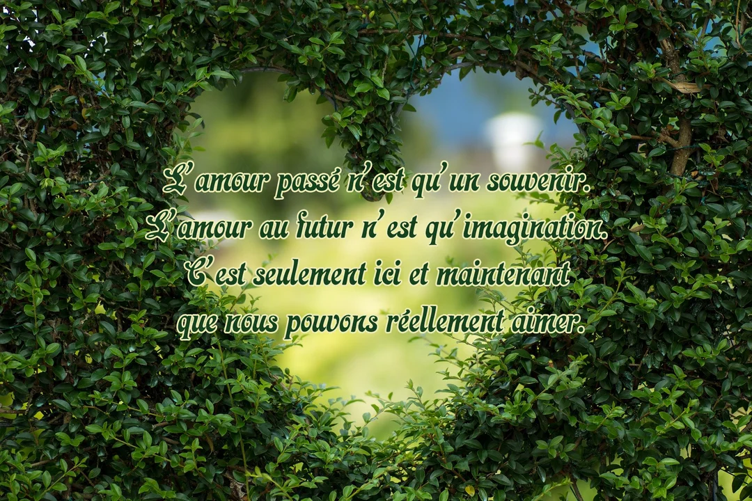 Une citation philosophique sur l'amour est inscrite au centre d'une ouverture en forme de cœur dans un buisson de feuilles vertes luxuriantes.