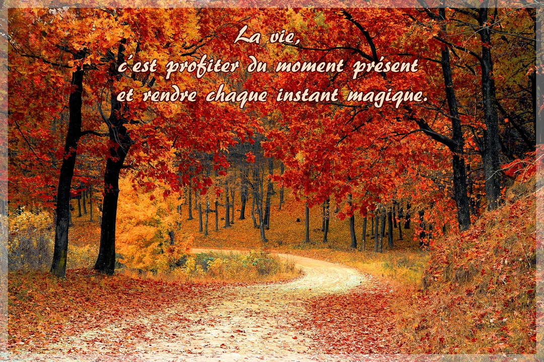 Un chemin de terre serpente à travers une forêt dense dont les arbres arborent un feuillage automnal aux couleurs vives orange et rouge.