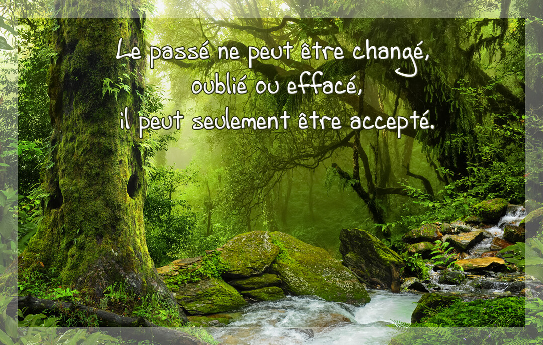 Une citation sur l'acceptation du passé est superposée à une photo d'une forêt verdoyante et brumeuse traversée par un petit cours d'eau.