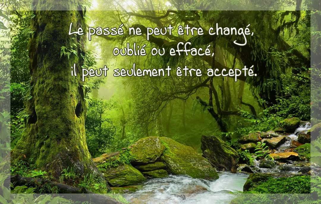 Une citation sur l'acceptation du passé est superposée à une photo d'une forêt verdoyante et brumeuse traversée par un petit cours d'eau.