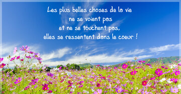 Aperçu de la carte : « Les plus belles choses se ressentent dans le cœur... »