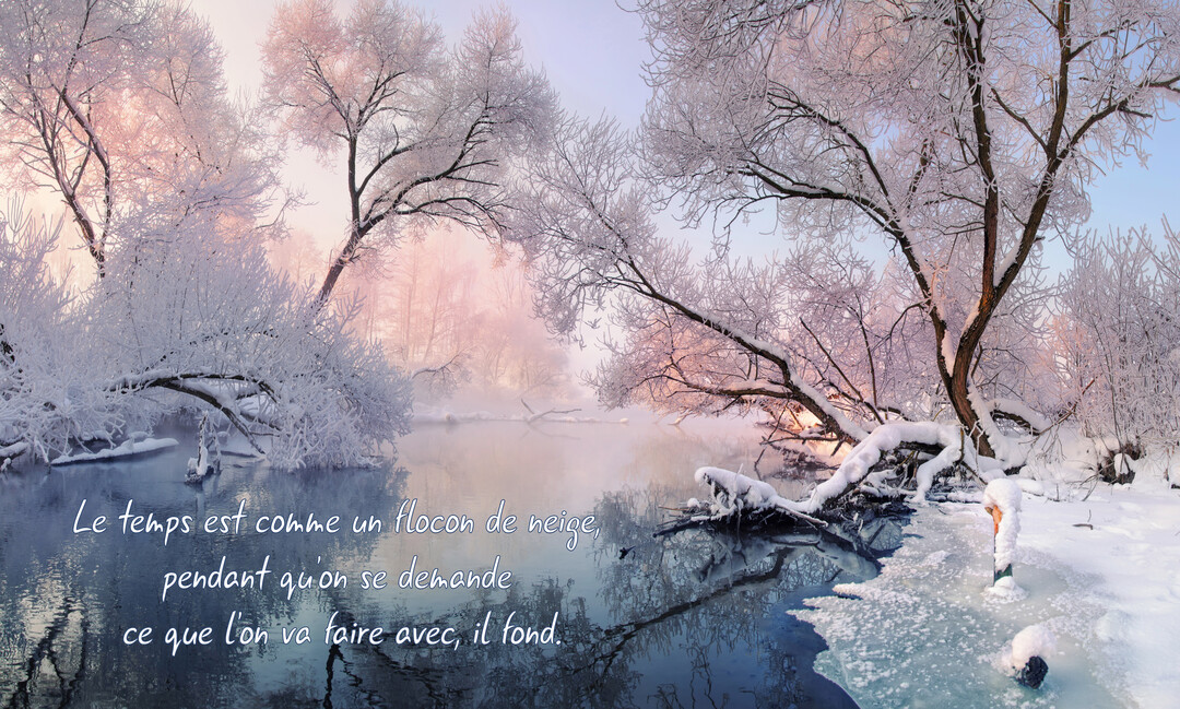 Un paysage hivernal poétique montre des arbres couverts de givre rose pâle se penchant sur une rivière calme et partiellement gelée au crépuscule.