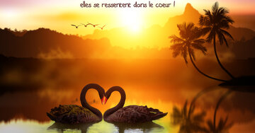 Aperçu de la carte : « Les plus belles choses de la vie se ressentent dans le cœur... »