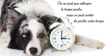 Aperçu de la carte : « On ne peut pas rattraper le temps perdu... »