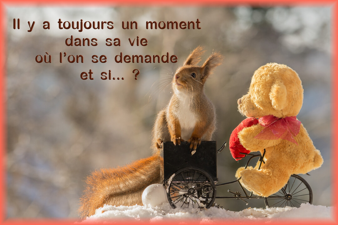 Un écureuil roux regarde vers le ciel, debout à côté d'un petit tricycle conduit par un ours en peluche, dans un paysage enneigé.