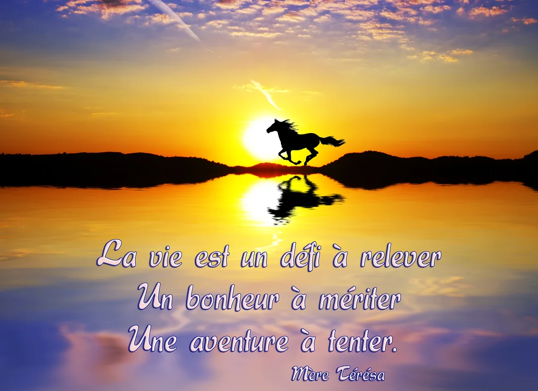 Un cheval en silhouette galope sur l'horizon face à un soleil éclatant, dont les tons orangés se reflètent sur une étendue d'eau calme.