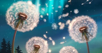 Aperçu de la carte : Crois en ta lumière