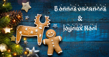 Aperçu de la carte : Bonnes vacances
&
joyeux Noel