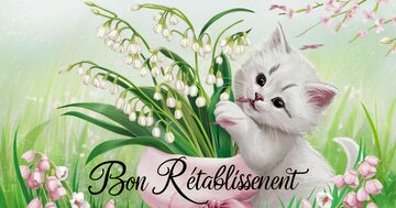 Aperçu de la carte : Bon Rétablissement