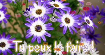 Aperçu de la carte : Tu peux le faire !