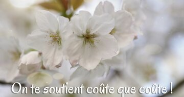 Aperçu de la carte : On te soutient coûte que coûte !
