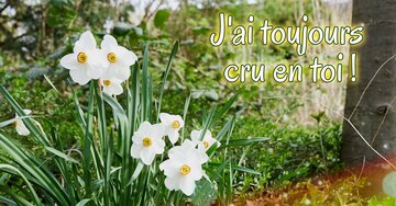 Aperçu de la carte : J'ai toujours cru en toi !