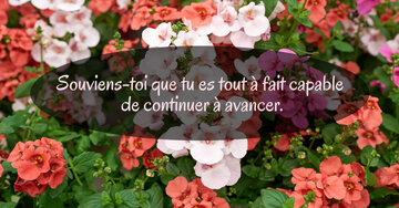 Aperçu de la carte : « Souviens-toi que tu es capable de continuer à avancer... »