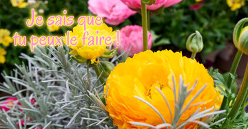 Aperçu de la carte : Je sais que tu peux le faire !