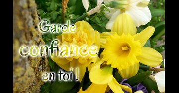 Aperçu de la carte : Garde confiance en toi !