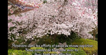 Aperçu de la carte : « Persévère dans tes efforts et passe au niveau supérieur. Nous sommes de tout cœur... »