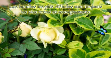 Aperçu de la carte : « Les batailles les plus difficiles sont toujours... »