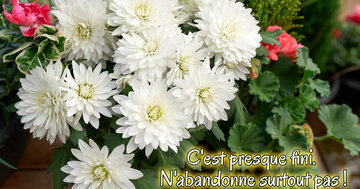 Aperçu de la carte : C'est presque fini. N'abandonne surtout pas !