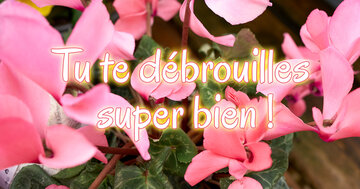 Aperçu de la carte : Tu te débrouilles super bien !