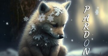 Aperçu de la carte : P A R D O N