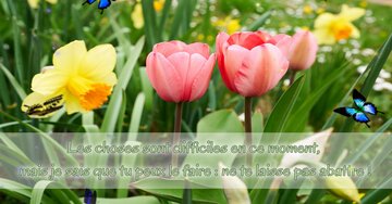 Aperçu de la carte : « Les choses sont difficiles, mais je sais que tu peux le faire... »