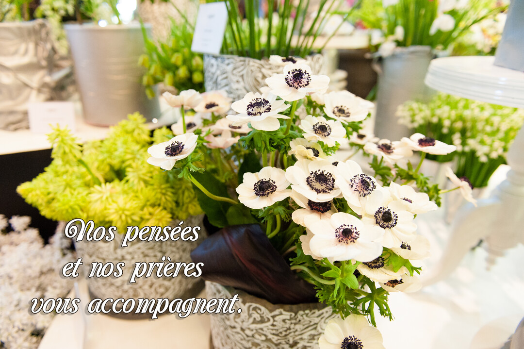 Une composition florale centrée sur un bouquet d'anémones blanches et leurs cœurs sombres, sur un fond clair et doux.