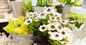 Aperçu de la carte : Nos pensées 
et nos prières 
vous accompagnent.