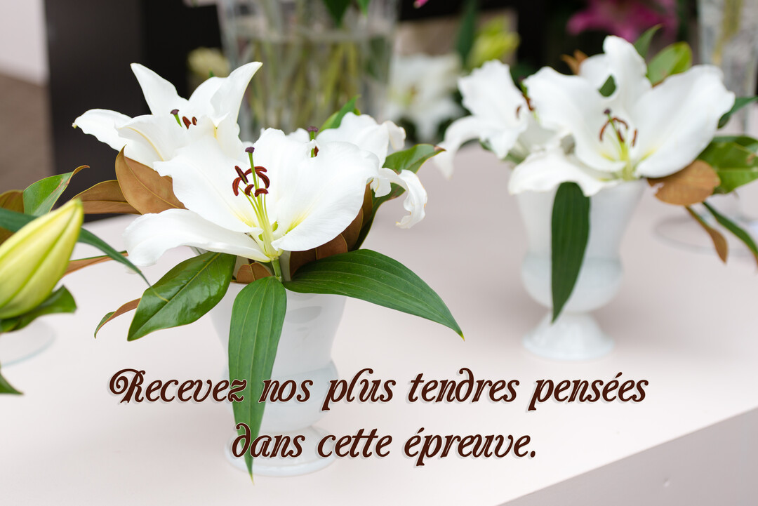 Deux compositions florales de lys blancs dans des vases opales sur une table, symbolisant le deuil et le soutien avec une élégance sobre.